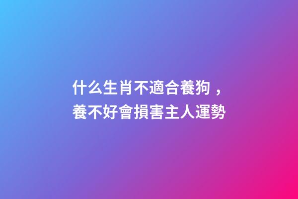 什么生肖不適合養狗，養不好會損害主人運勢